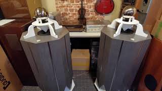 Kolumny Dooklne Omnidirectional Speakers Ghost Rider  Make Us Stronger wilkprojekt