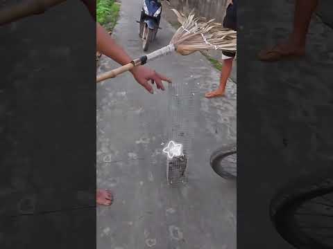 Mãng xà om mẻ - T3 #caođàitổng #fishing #đồngquê
