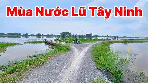 Khám Phá Con Đường Mùa Nước Lũ Tây Ninh " Mé Sông Vàm Cỏ Đông Tây Ninh