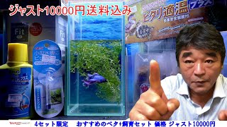 限定4】おすすめのベタ飼育セット - YouTube