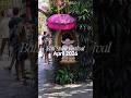 #balispirit Festival 2026