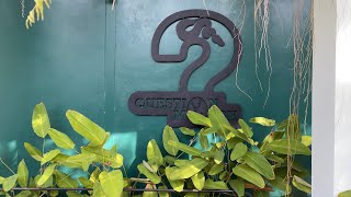 Ball Python ep13 - sneak peek at question morph, chiang mai แวะมาเยี่ยมพี่โอมถึงฟาร์ม ขอแอบลอกโปรเจค