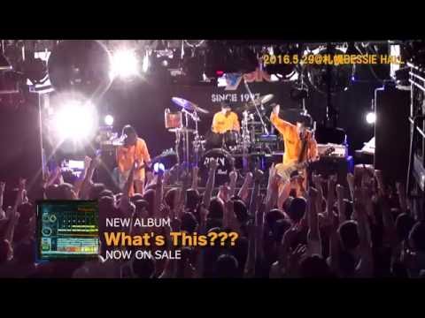POLYSICS YouTube BLOG 0529 in 札幌BASSIE HALL