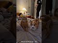 funny short 😂😂😂🤣🤣🤣
