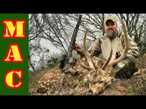 Axis Buck hunt with a 6.5 Grendel BCI Defense AR15