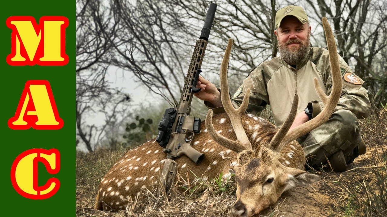 Axis Buck hunt with a 6.5 Grendel BCI Defense AR15 fpsc jobs