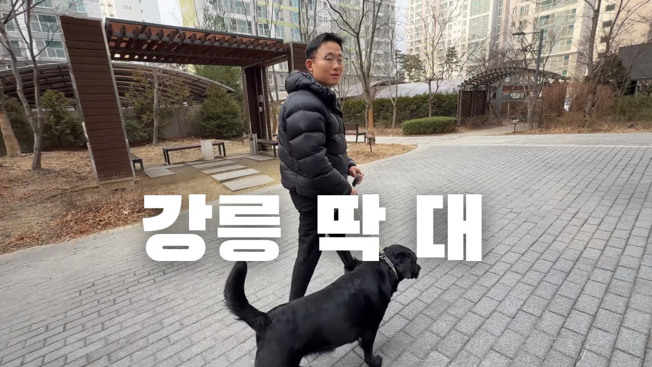 (강릉) 참교육 하려다 실패했습니다 | 길거리상담소 | EP. 02