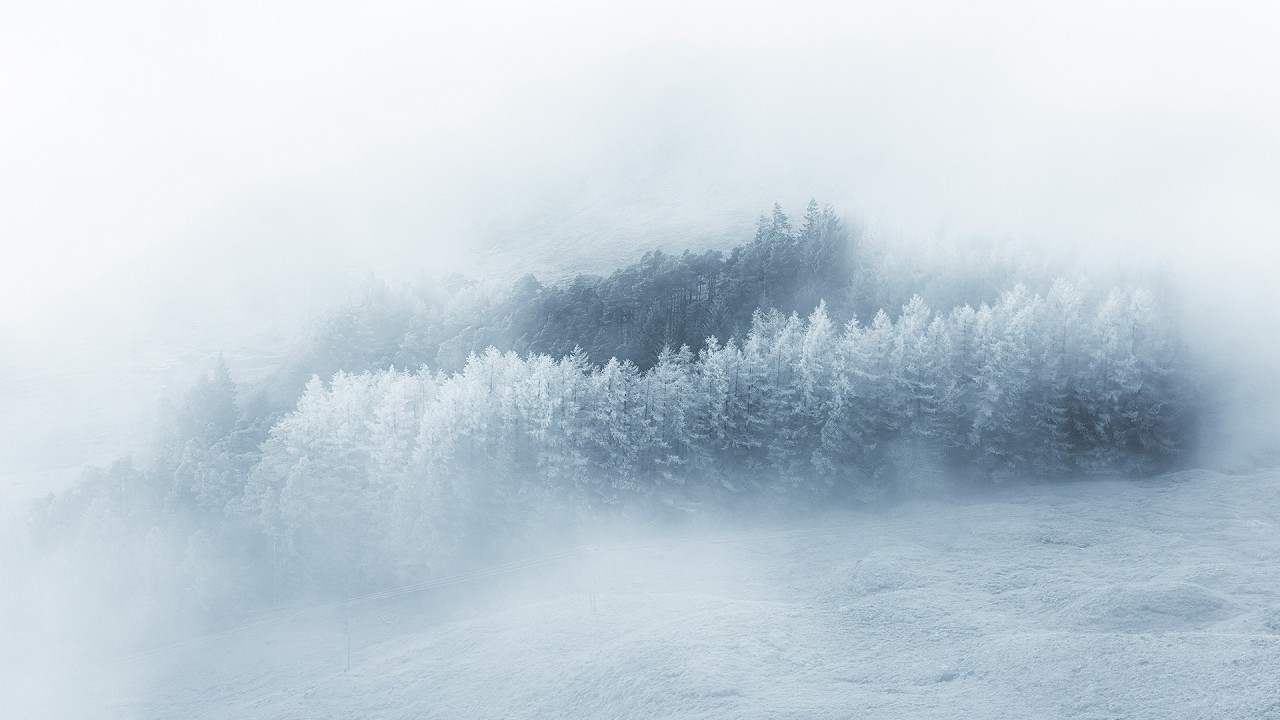 Guarda The Ambientalist - Blizzard su YouTube Guarda The Ambientalist - Blizzard su YouTube