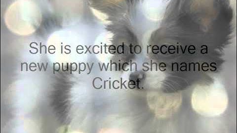 Upside Down in the Middle of Nowhere Book Trailer