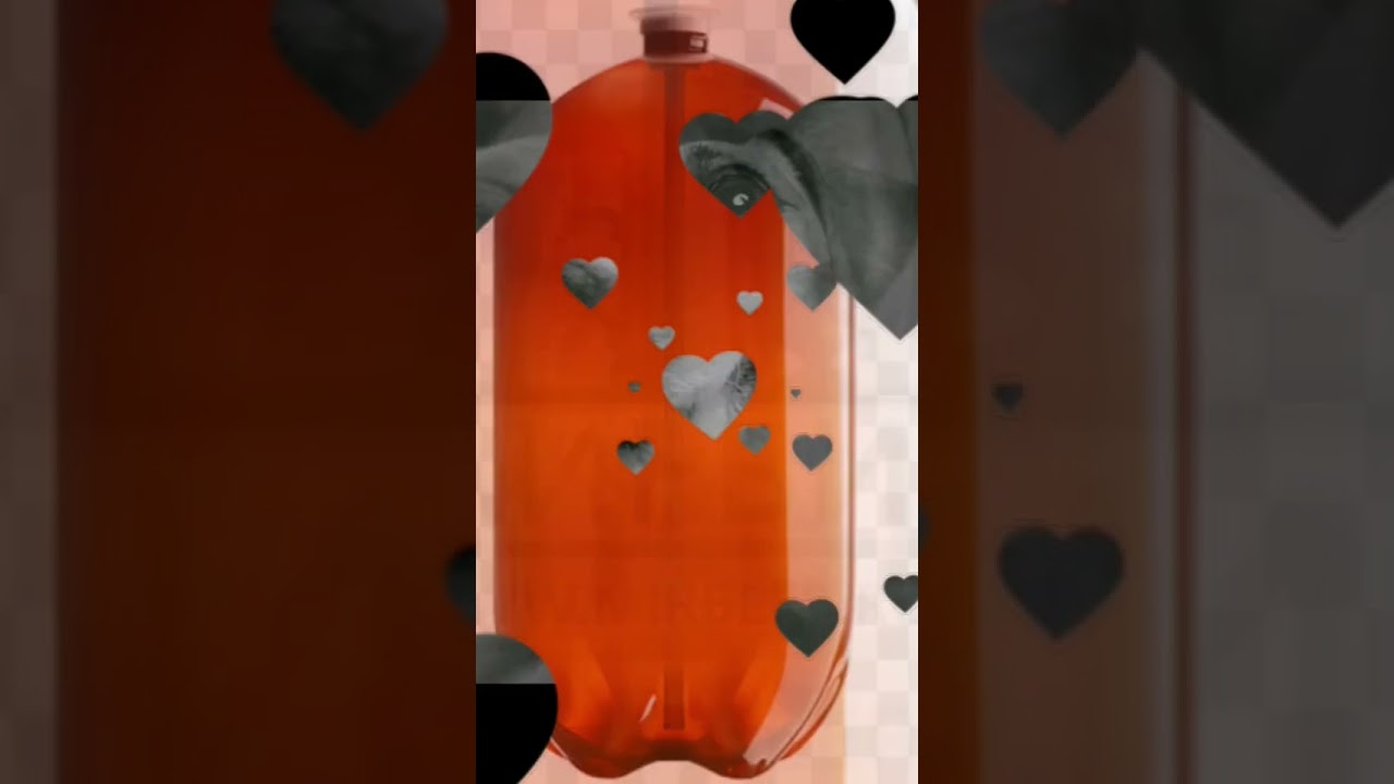 bit box batl s kegoi 