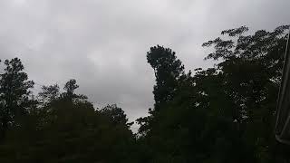 Gusty winds in Elizabethtown, NC from departing Tropical Storm IDALIA  -  August 31, 2023