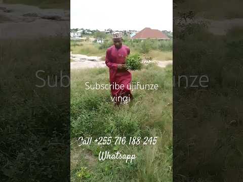 MAAJABU YA KIVUMBASI Youtubeshorts Fashion Dubai Love Dubai Dubaifashion Food Religion Cute