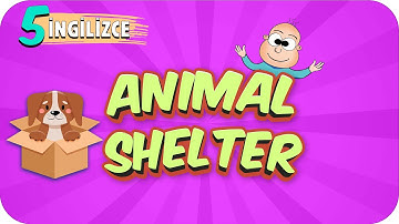 5. Sınıf İngilizce: Animal Shelter #2022