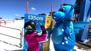 Celebrity Kids on Lifts Safety Video Net Worth