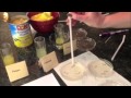 Pineapple Enzyme Lab