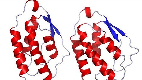 Macrophage Colony stimulating factor   M CSF or CSF 1