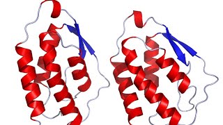 Macrophage Colony Stimulating Factor M Csf Or Csf 1