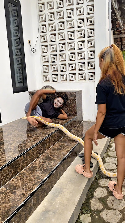 Cemong is annoyed at being disturbed while sleeping, but Vebby comes with a surprise! #shortvideo...