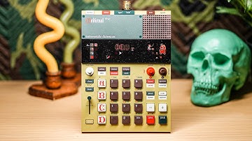 The Champ Hath Arriv