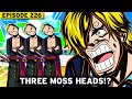 13 times the one piece anime messed up