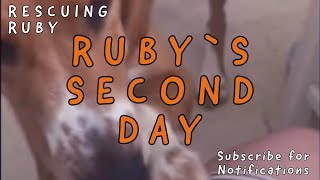 Ruby`s second day | Sofia (supermama) from Takis Shelter