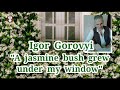 &quot;A jasmine bush grew under my window&quot;. Igor Gorovyi. Romance. Kyiv. Ukraine.