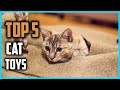 Best Cat Toys in 2021 [Top 5 Picks]