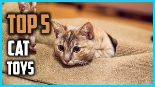 Best Cat Toys [Top 5 Picks]