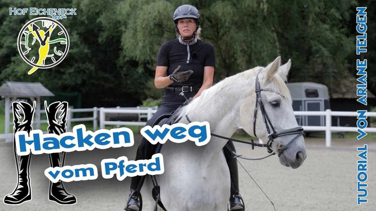 Stuhlgang fürs Pferd: Der Stuhlsitz – Leicht werden im Sattel  | Tutorial Teaser