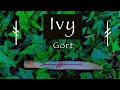 Ivy  myth symbolism and folklore of the ivy gort