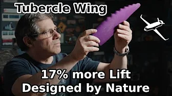 Tubercle wing : An efficient wing inspired by nature