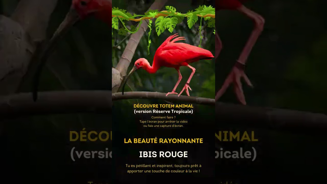 Découvre ton totem animal