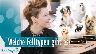 Fellpflege – eine Einführung mit Franziska Knabenreich | Rund um den Hund | ZooRoyal