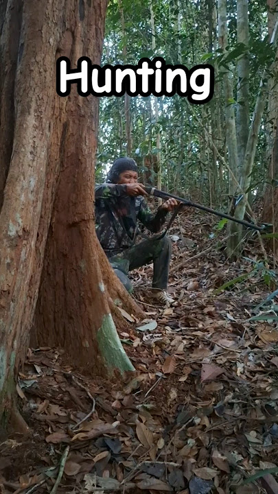 The call sound of wild deer from the Kalimantan #hunting #kalimantanforest
