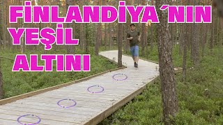 FİNLANDİYA´NIN YEŞİL ALTINI VAR