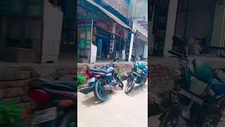 #song Do you dare dhamela apose villa roses?Sekai active knew