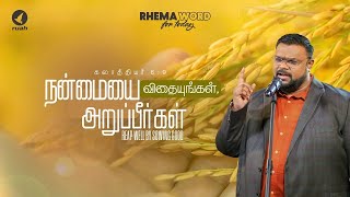 நன்மையை விதையுங்கள், அறுப்பீர்கள்!! #rhemaword #ruahtv #alwinthomas