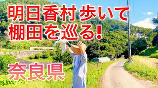 日本棚田百選 奈良県 明日香村 の棚田を巡る (夏、秋、春、初夏)稲渕の棚田 、上(かむら)の棚田 #奈良観光 #明日香村 #奈良