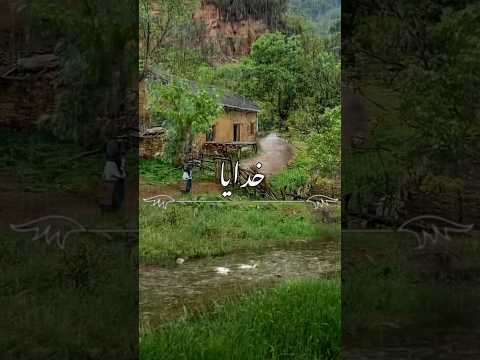 خدایا شکرت 