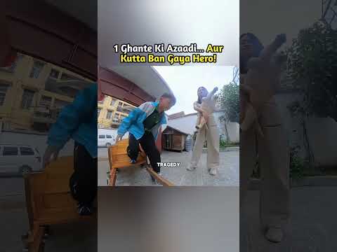 Is Kutta Ko 1 Ghante Ki Freedom Mili…Aage Jo Hua Wo Dil Hila Dega!😢🐶 #shorts #short #shortvideo