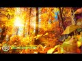 Relaxing Morning Meditation Music 💖 Wake Up Happy & With Strong Positive Energy 432Hz