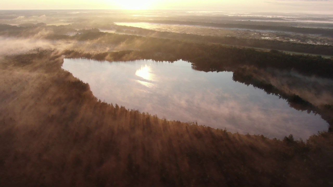 Nigula raba / Nigula bog - 20.07.2019
