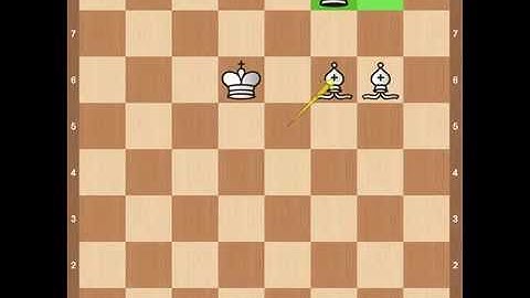 Chess Endgames- Checkmate with Two Bishops