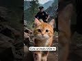 This Kitten Saved His Life 😱😱😱#cute#pet#kitten#life#saving#reaction#trending#shorts