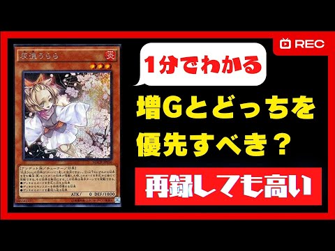 遊戯王 - 遊戯王　ホルス　デッキ　灰流うらら追加 遊戯王 ホルス デッキ 灰流うらら追加