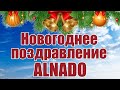 Новогоднее поздравление от Альнадо / ALNADO