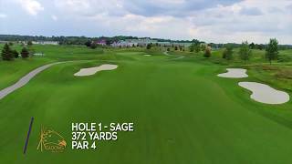 The Meadows at Mystic Lake Hole #1: Sage