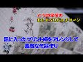 気に入ったプリント柄をアレンジして素敵な作品作り Create quilts by arranging your favorite prints, Applique, Fabric Collage