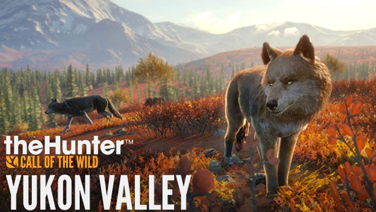 Hunting The Yukon Valley Wolves The Hunter Call Of The Wild YouTube