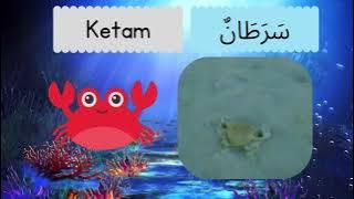 BAHASA ARAB HAIWAN DALAM AIR PRASEKOLAH
